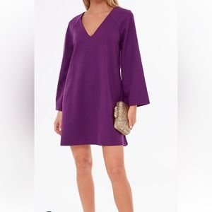 Tuckernuck dress. Purple Size XXL.